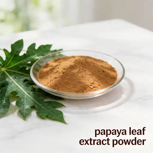 How to use papaya leaf extract powder for the best health results?